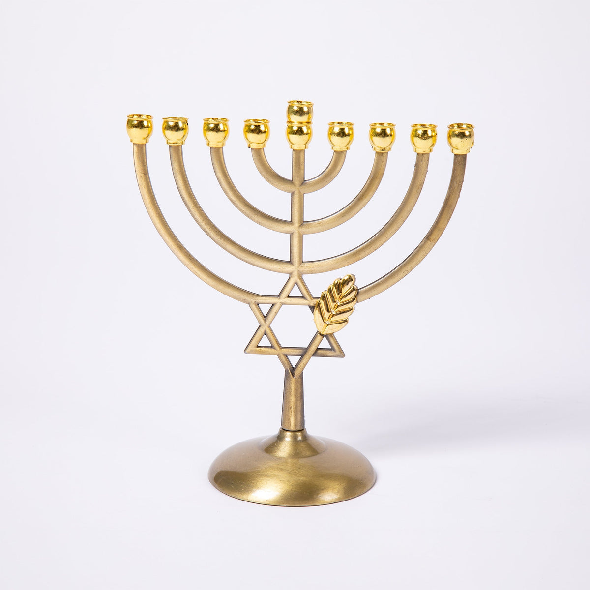 Hanukkah MenorahDecorative Home AccentTorqelo.com