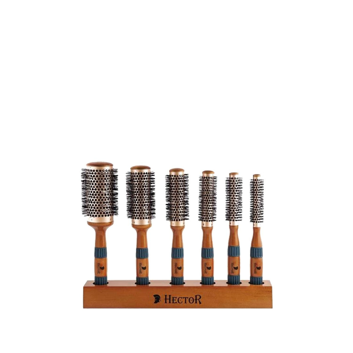 Hector Hair Brush Set - 6 Piece Vent Design for Detangling and StylingMakeup BrushTorqelo.com