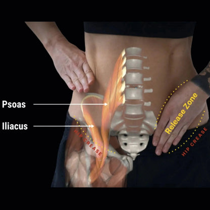 Hip Hook (Mark)Muscle release toolTorqelo.com