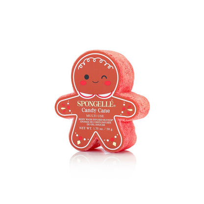 Holiday Gingerbread Multi-Use Assorted PackBody Wash Infused BufferTorqelo.com