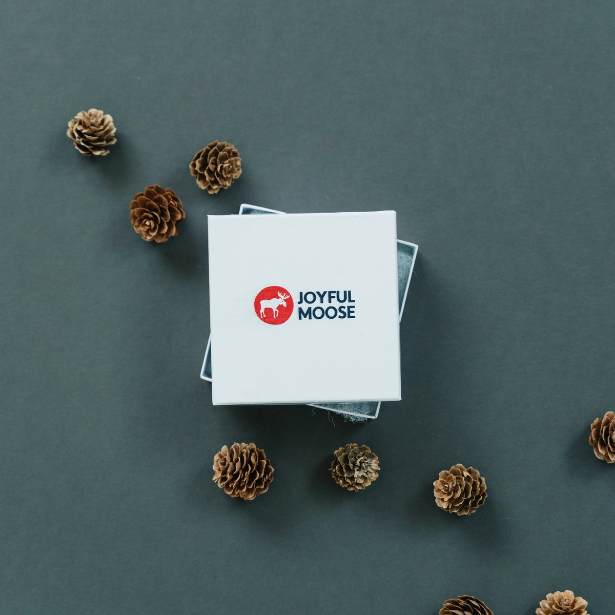 Christmas Ornament for Grandparents, Christmas Gift for Grandma by Joyful Moose