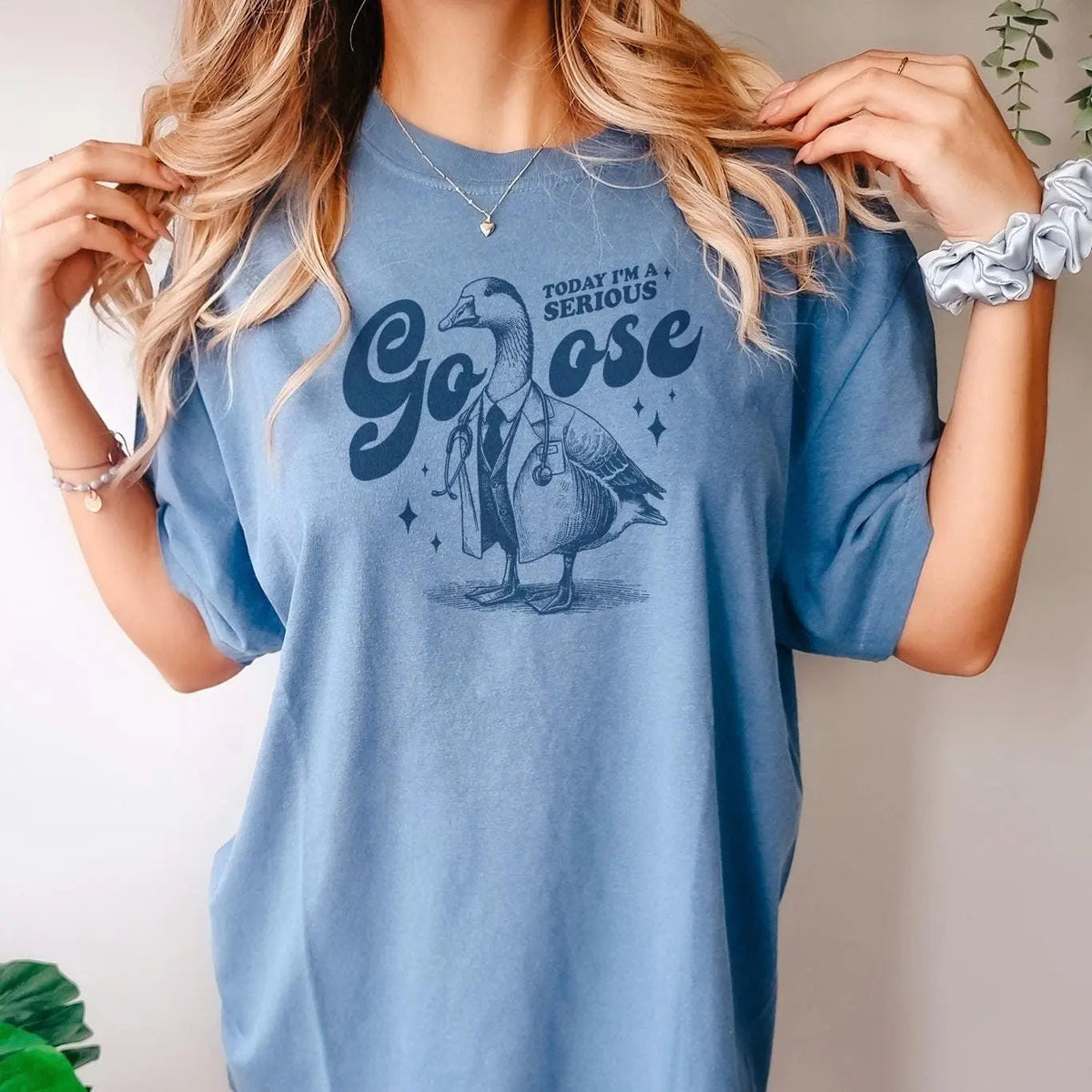 Serious Goose Shirt - Comfort Colors Funny Tshirt Women - Meme Shirt - Silly Goose Tee by Joyful Moose