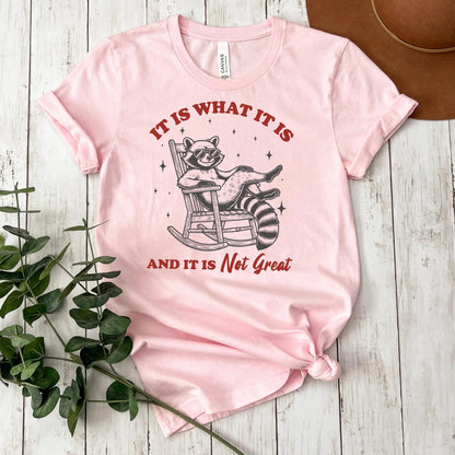 Funny Raccoon Tee Animal Shirt for Women Birthday Gift for Friend Raccoon Graphic Tee Plus Size T Shirt Comfortable Cotton Blend Casual by Joyful Moose