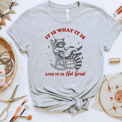 Funny Raccoon Tee Animal Shirt for Women Birthday Gift for Friend Raccoon Graphic Tee Plus Size T Shirt Comfortable Cotton Blend Casual by Joyful Moose