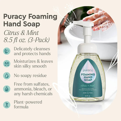 Foaming Hand Soap by Puracy
