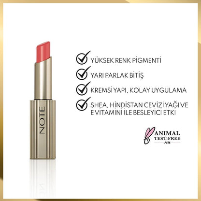 Note Cosme Aura Silk Lipstick in 09 Autumn Aura by Beauty Care Bag