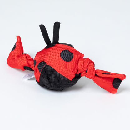 Jolly Pets Jolly Tug&trade; Insect Medium Dog ToyDog ToyTorqelo.com