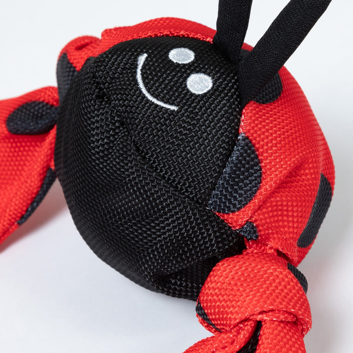 Jolly Pets Jolly Tug&trade; Insect Medium Dog ToyDog ToyTorqelo.com