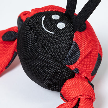 Jolly Pets Jolly Tug&trade; Insect Medium Dog ToyDog ToyTorqelo.com