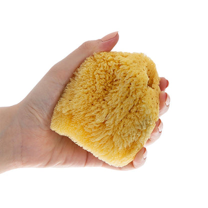 Babyjem natural sea sponge for baby bathing