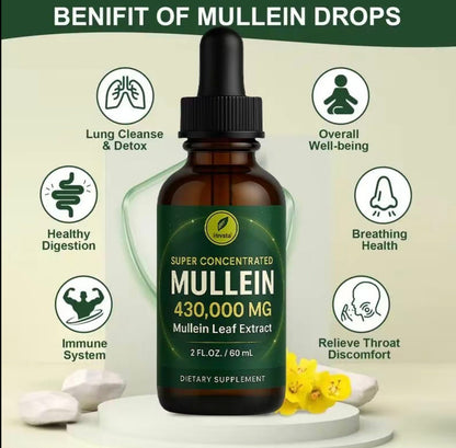 LungEase Mullein DropsTorqelo.com