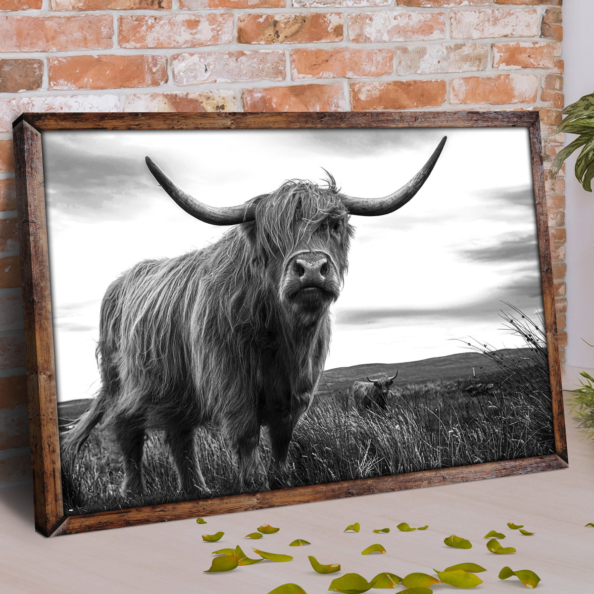 Highland Cow Black And White Portrait Canvas Wall Art by Tailored Canvases