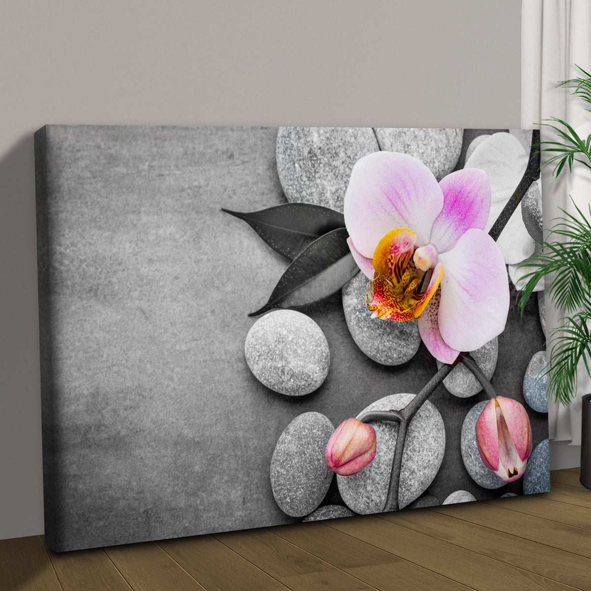 Fresh White Orchid Flower Canvas Wall Art by Tailored Canvases