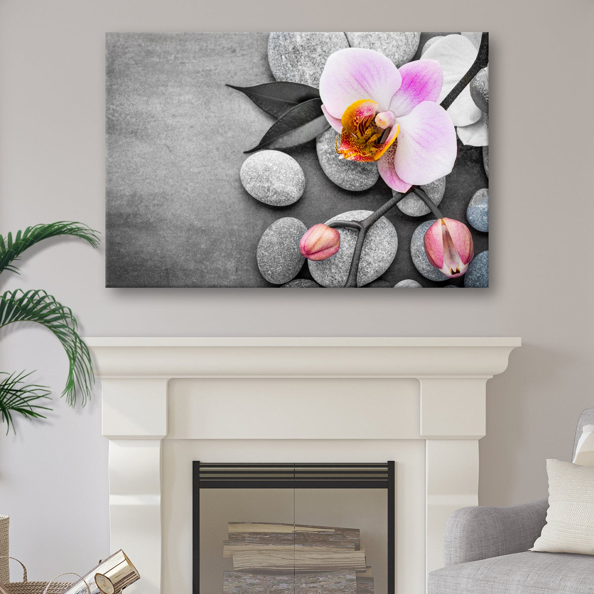 Fresh White Orchid Flower Canvas Wall Art by Tailored Canvases