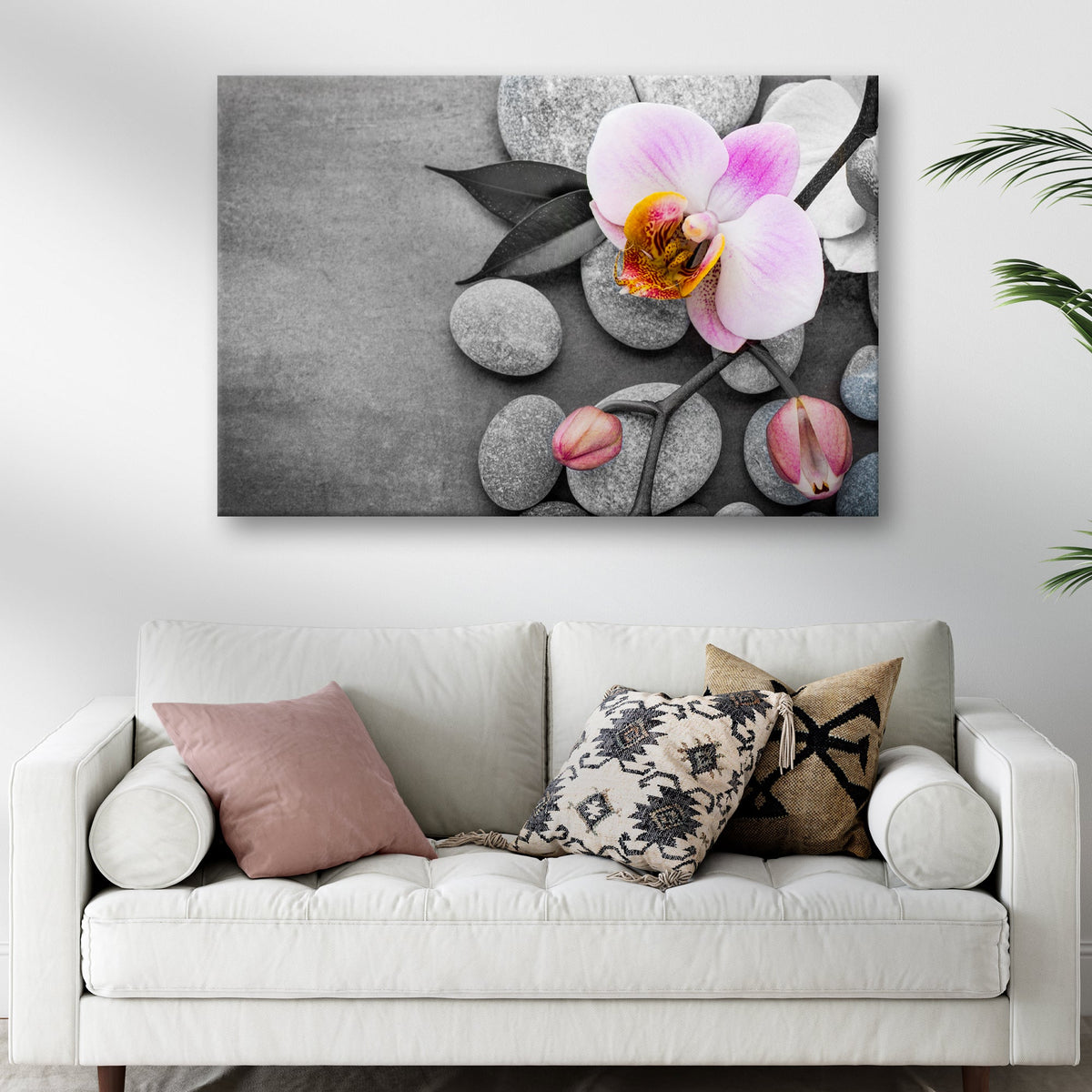 Fresh White Orchid Flower Canvas Wall Art by Tailored Canvases