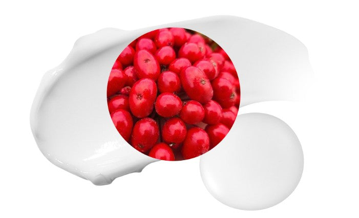 MAXCLINIC Red Propolis Cream 50g by Seoulia