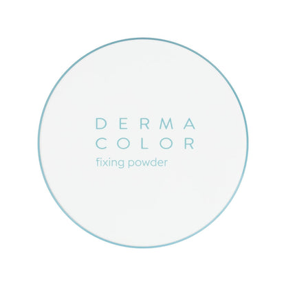 Kryolan Dermacolor Fixing Powder Waterproof Setting Makeup P1 60 g by Beauty Care Bag