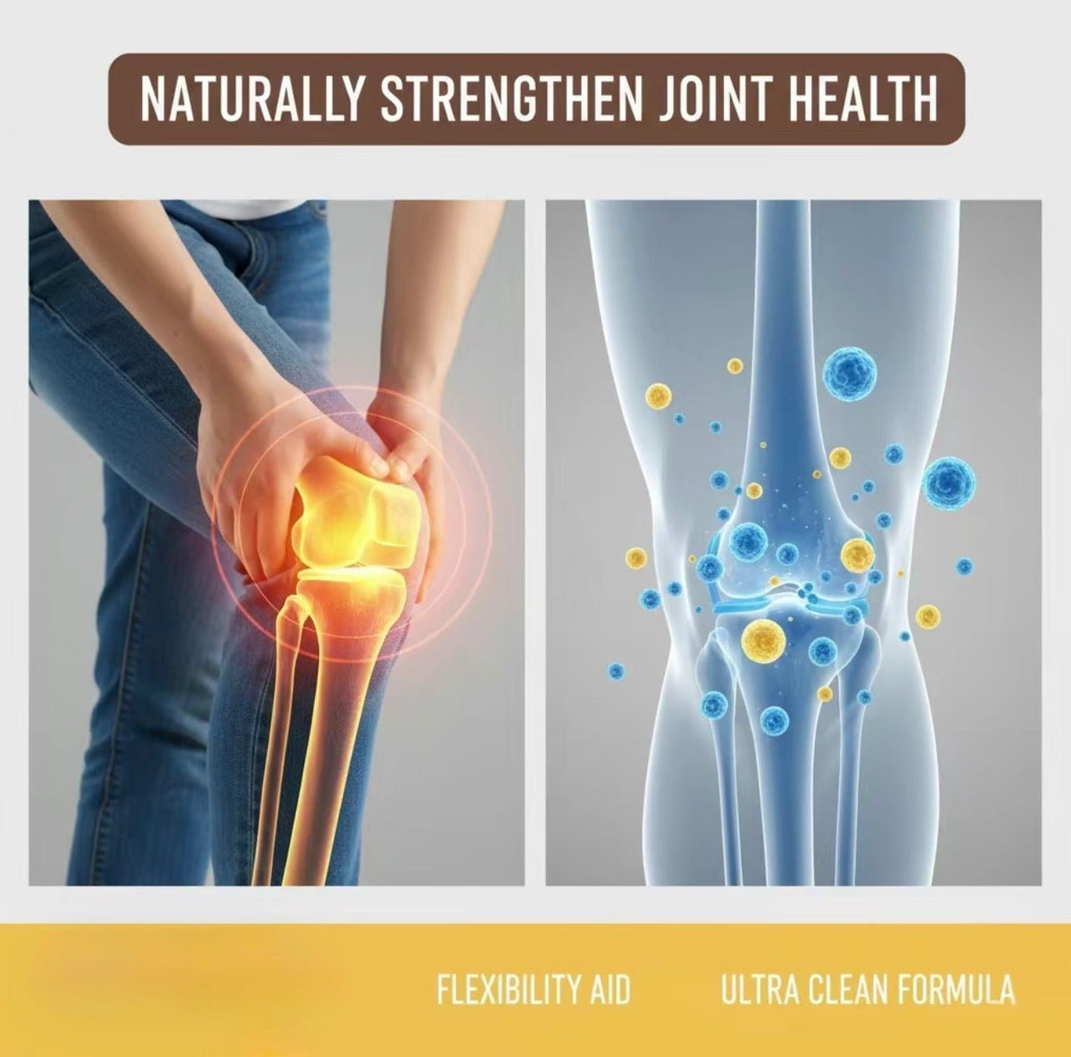 MoveEase Joint ComplexTorqelo.com