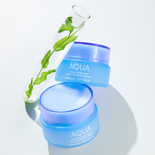 NATURE REPUBLIC Super Aqua Max Fresh Watery Cream 80ml by Seoulia