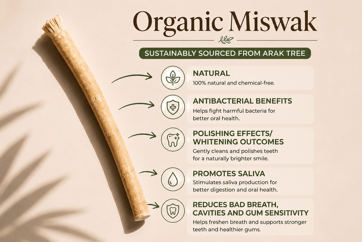 Organic Miswak Twig: Sustainably Sourced from the Arak TreeTorqelo.com