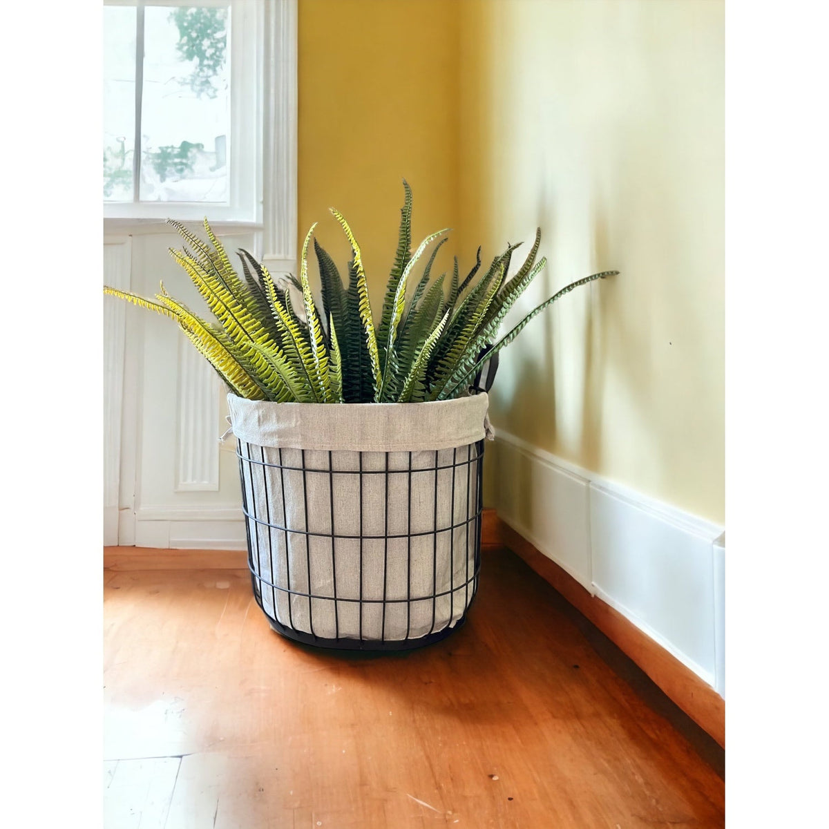 Boston Fern Bush by Rust & Cinder
