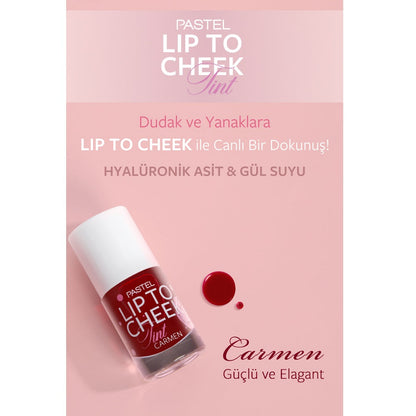 Pastel Plump Up Gloss & Lip to Cheek Tint Makeup Set by Beauty Care Bag