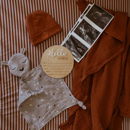 Baby Beanies - 2-Pack by Parker Baby Co.