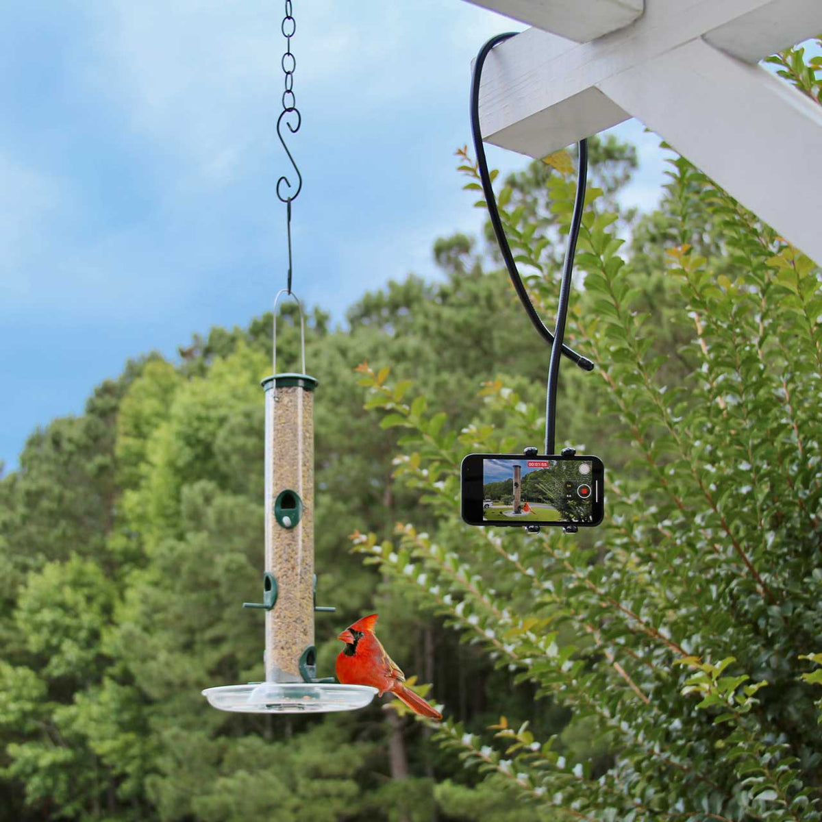 PED5-COIL iPhone Flexible Holder StandPTorqelo.com