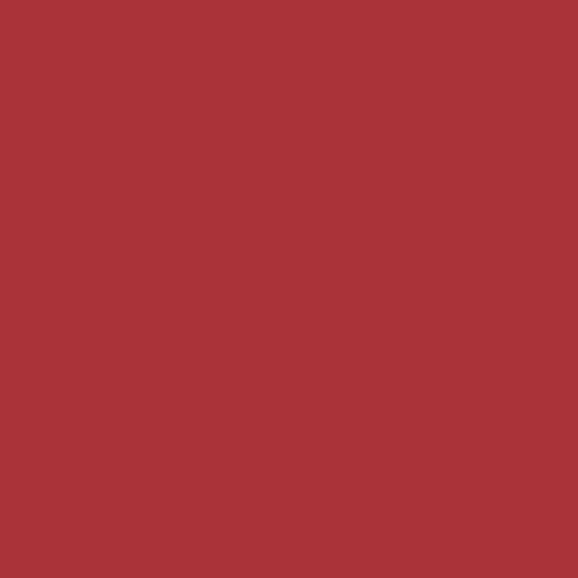 Note Velvet Blur Tint Moisturizing Matte Lipstick 04 Rust Red by Beauty Care Bag