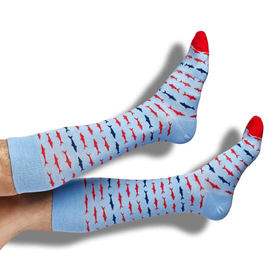 Powder Blue SharksTeam ColorwaysTorqelo.com
