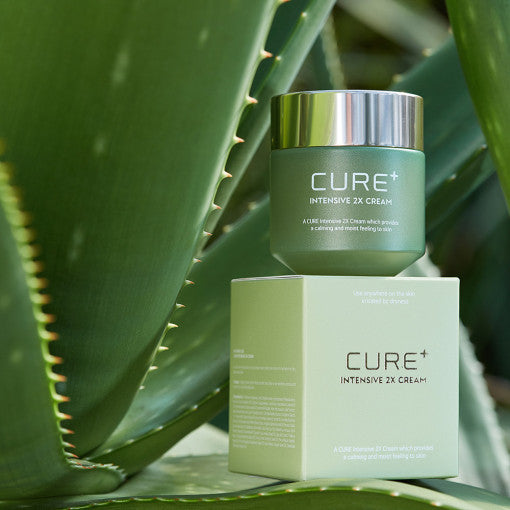[KIM JEONG MOON Aloe] Cure Plus Intensive 2X Cream 50g by Seoulia