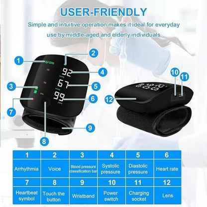 PulseTrack Wrist MonitorTorqelo.com