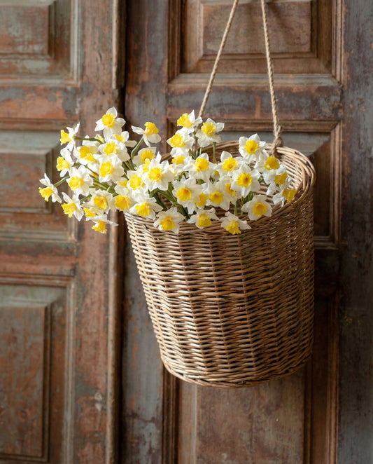 Sunshine Narcissus Flower Bunch by Rust & Cinder