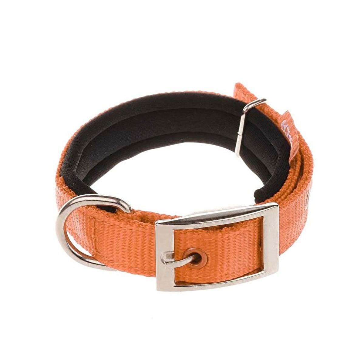 Doca Soft Fabric Turquoise Pet Collar for Dogs and Cats - Adjustable Buckle, Comfortable and Stylish Design by Beauty Care Bag