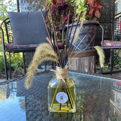 Reed Fragrance - Diffuser, Starter Kit - Chamomile & LavenderTorqelo.com