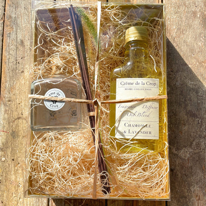 Reed Fragrance - Diffuser, Starter Kit - Chamomile & LavenderTorqelo.com