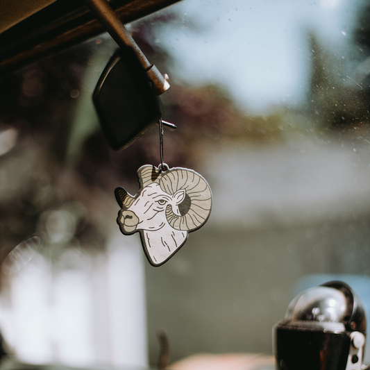 Rocky Mountain National Park Air Freshener by Good & Well Supply Co.