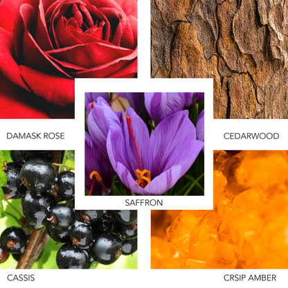 ROSE INK eau de parfum (100ml)FragranceTorqelo.com