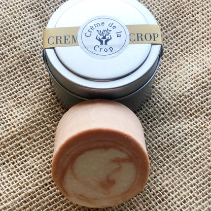 Shampoo Bar - Various ScentsTorqelo.com