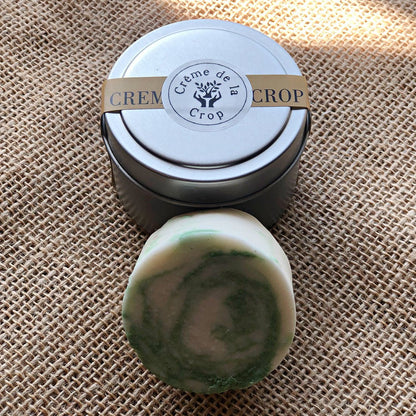 Shampoo Bar - Various ScentsTorqelo.com