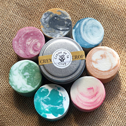 Shampoo Bar - Various ScentsTorqelo.com
