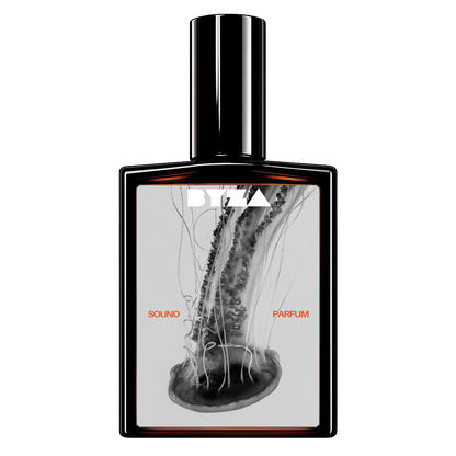 SoundPerfumeTorqelo.com