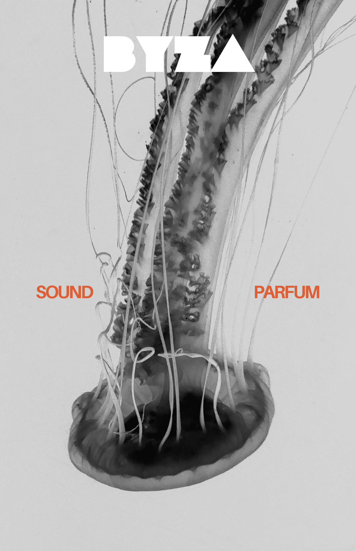 SoundPerfumeTorqelo.com