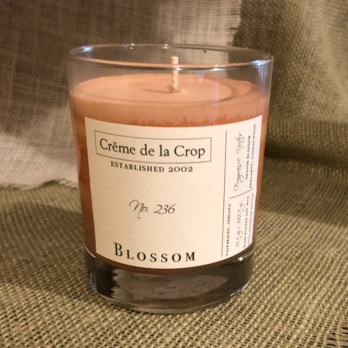 Soy Candle - Blossom (Orange Blossom)Candle - Hand Poured, SoyTorqelo.com