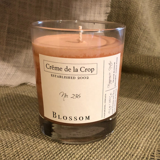 Soy Candle - Blossom (Orange Blossom)Candle - Hand Poured, SoyTorqelo.com