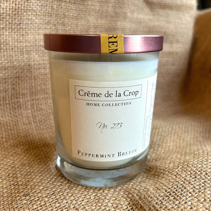 Soy Candle - Peppermint BreezeTorqelo.com