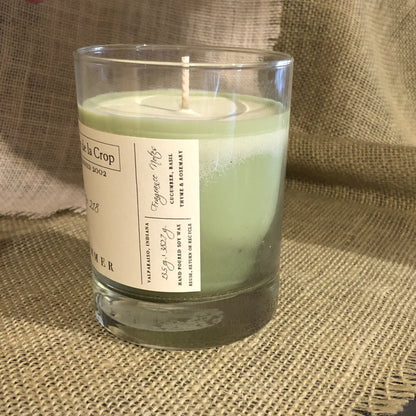 Soy Candle - Summer (Cucumber & Basil)Torqelo.com