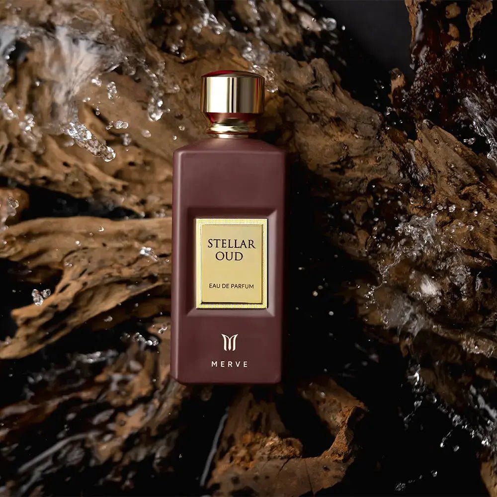 STELLAR OUD | UNISEXTorqelo.com