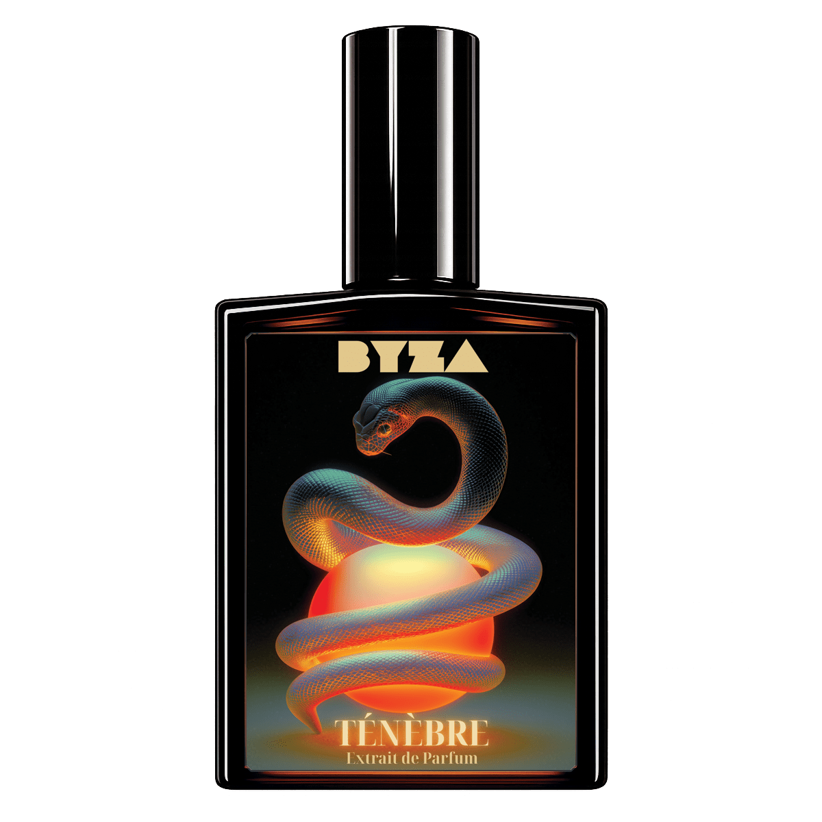 TénèbrePerfumeTorqelo.com