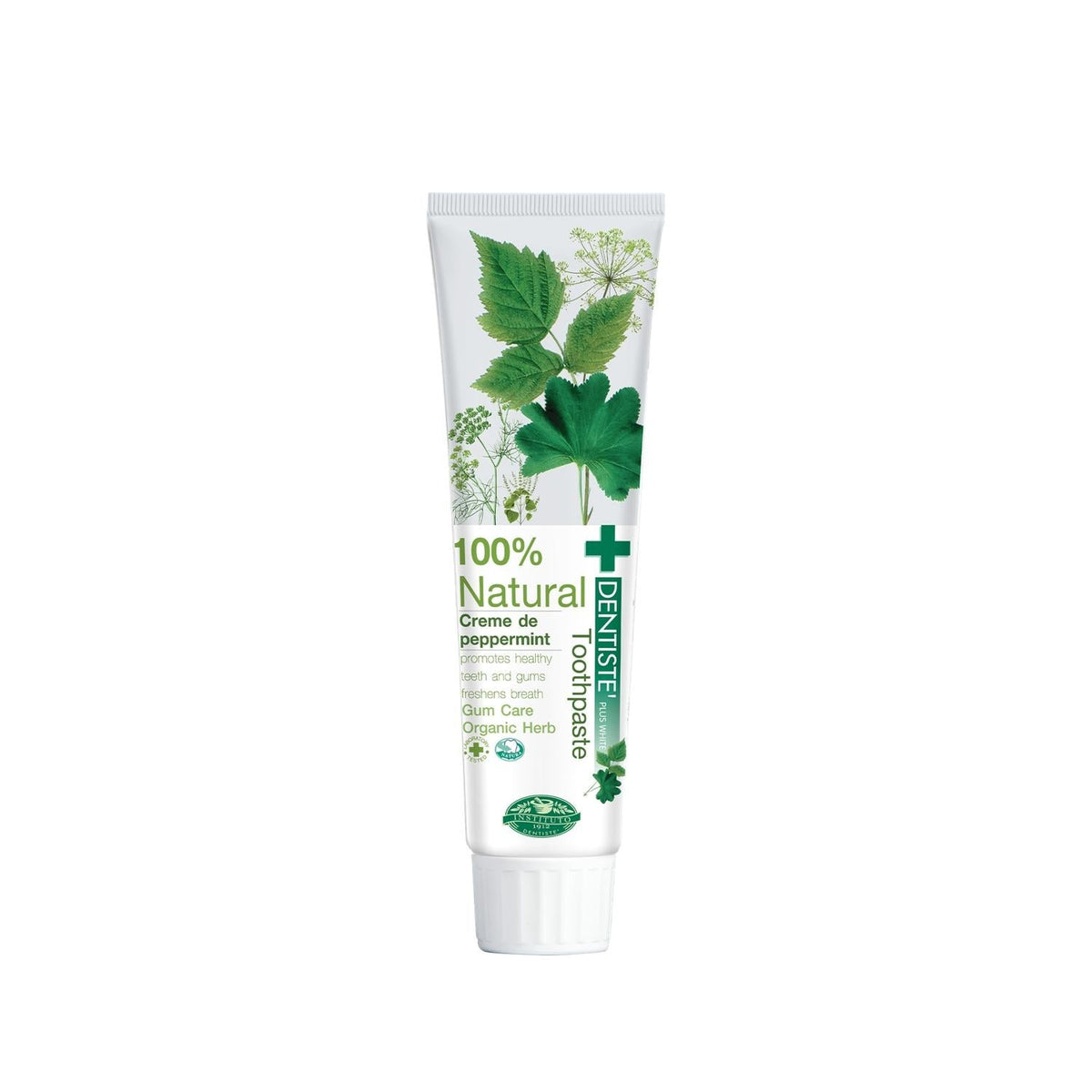Dentiste 100% Natural Toothpaste - Chemical-Free Oral Care for a Healthy Smile by Beauty Care Bag